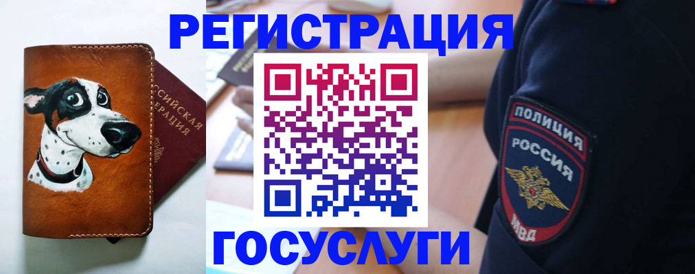 временная регистрация в квартире в Кувандыке